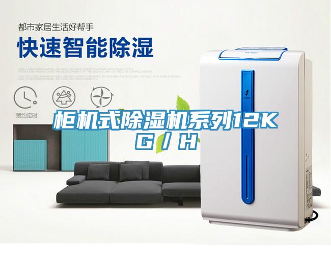 柜机式小黄片直播视频系列12KG／H