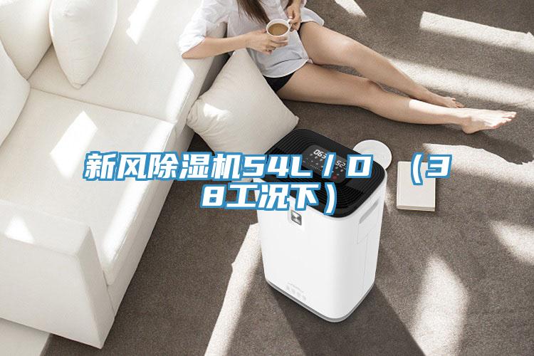 新风小黄片直播视频54L／D （38工况下）
