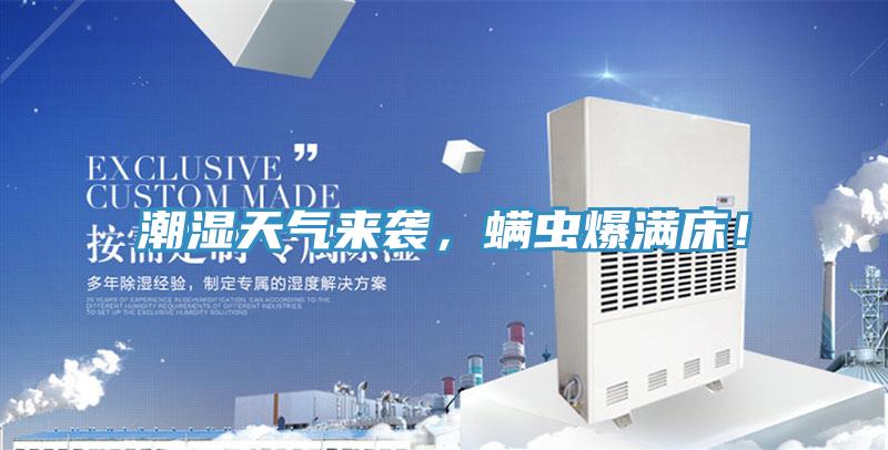潮湿天气来袭，螨虫爆满床！