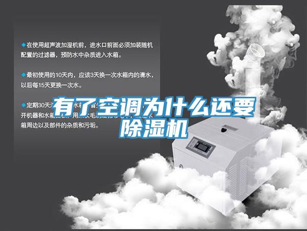 有了空调为什么还要小黄片直播视频