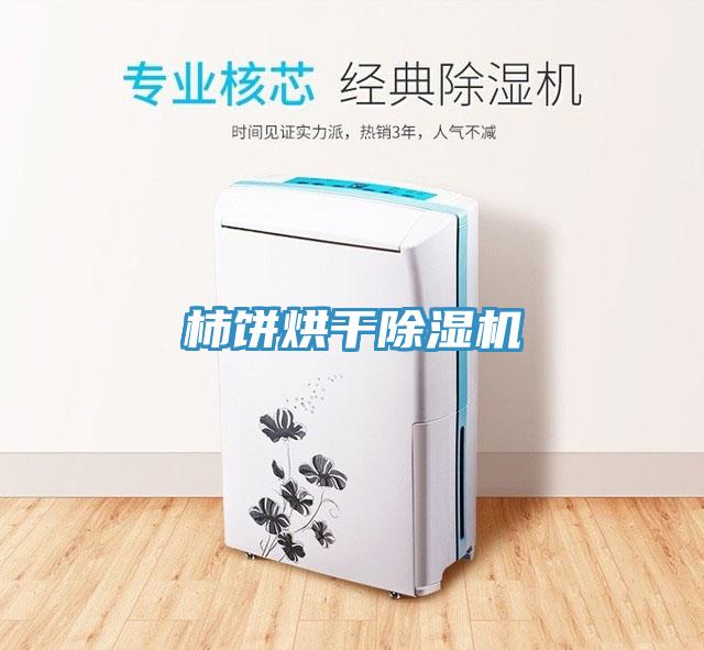 柿饼烘干小黄片直播视频