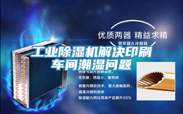 工业小黄片直播视频解决印刷车间潮湿问题