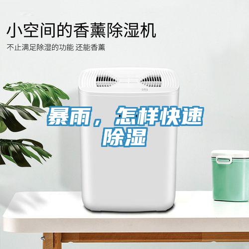 暴雨，怎样快速除湿