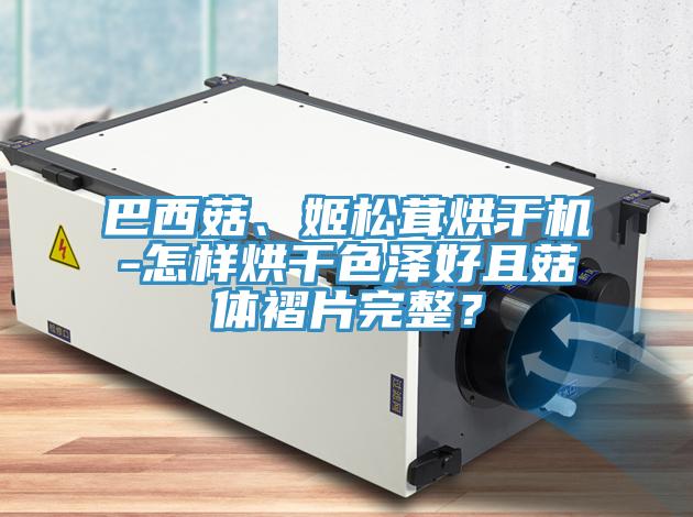 巴西菇、姬松茸烘干机-怎样烘干色泽好且菇体褶片完整？