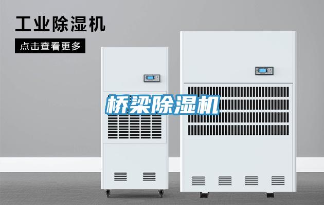 桥梁小黄片直播视频