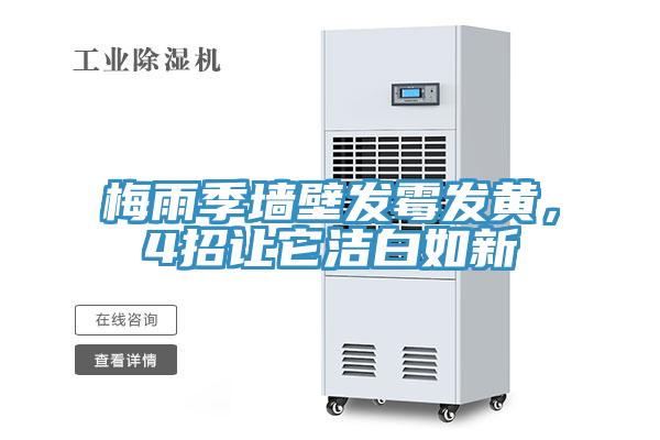 梅雨季墙壁发霉发黄，4招让它洁白如新