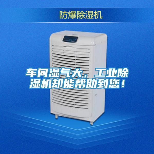 车间湿气大，工业小黄片直播视频却能帮助到您！