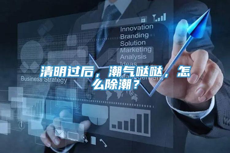 清明过后，潮气哒哒，怎么除潮？
