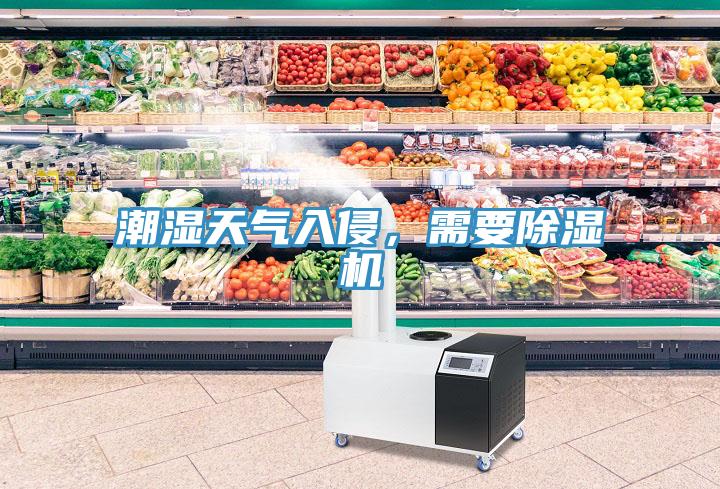 潮湿天气入侵，需要小黄片直播视频