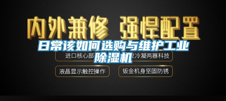 日常该如何选购与维护工业小黄片直播视频