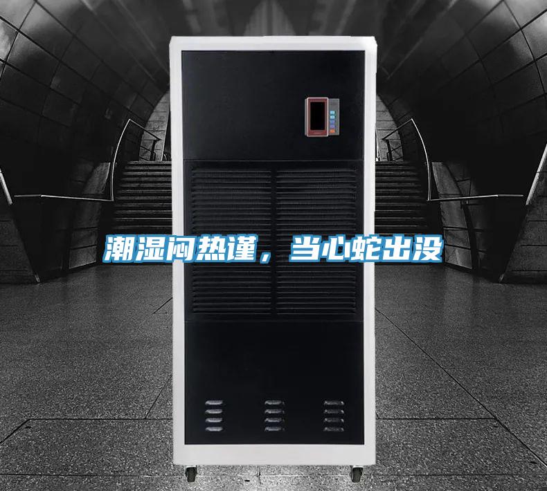 潮湿闷热谨，当心蛇出没