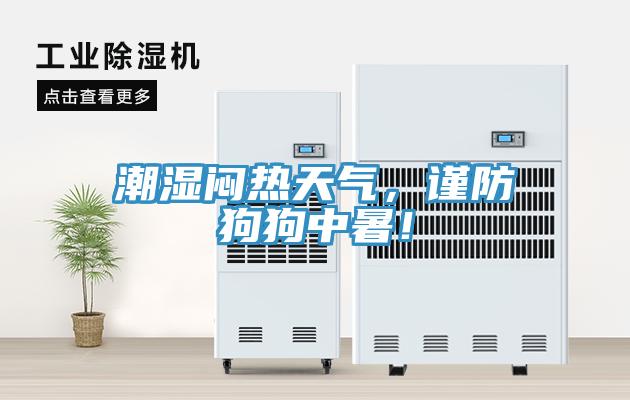 潮湿闷热天气，谨防狗狗中暑！