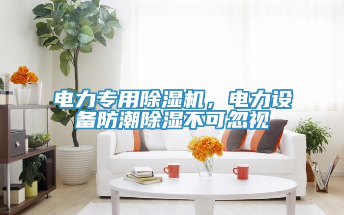 电力专用小黄片直播视频，电力设备防潮除湿不可忽视