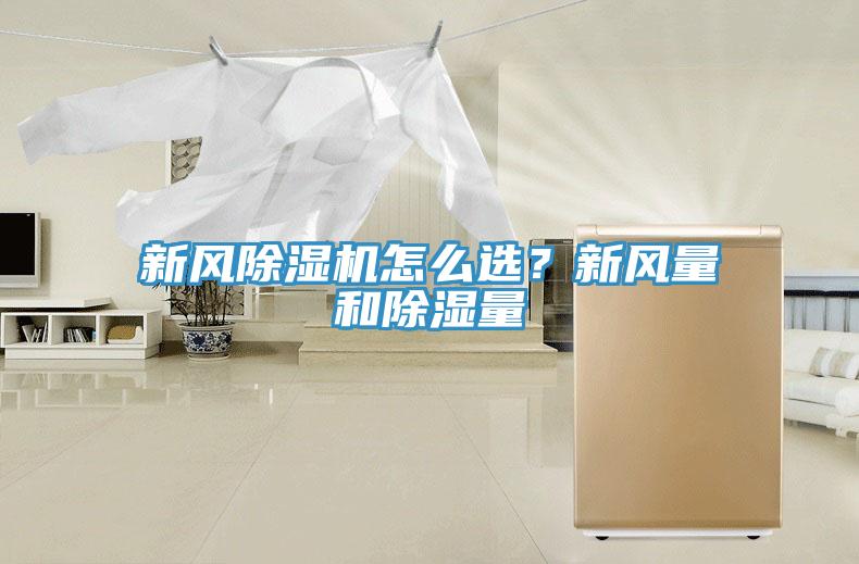 新风小黄片直播视频怎么选？新风量和除湿量