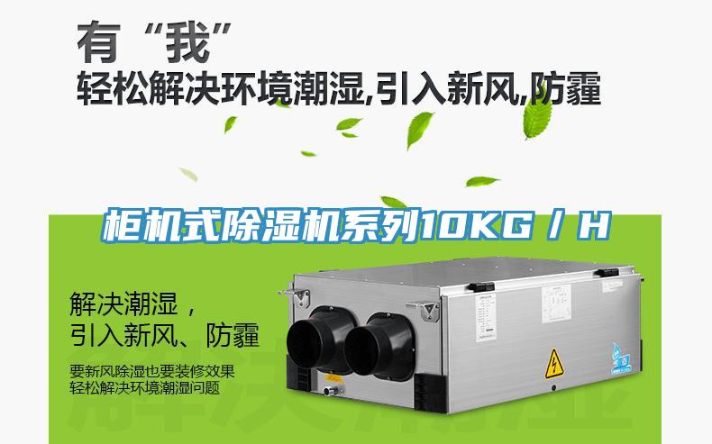 柜机式小黄片直播视频系列10KG／H