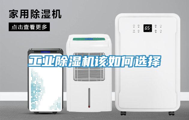 工业小黄片直播视频该如何选择