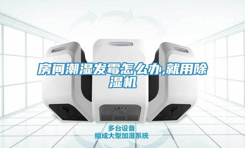 房间潮湿发霉怎么办,就用小黄片直播视频