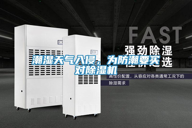 潮湿天气入侵，为防潮要买对小黄片直播视频