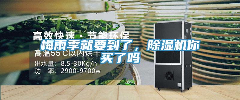 梅雨季就要到了，小黄片直播视频你买了吗