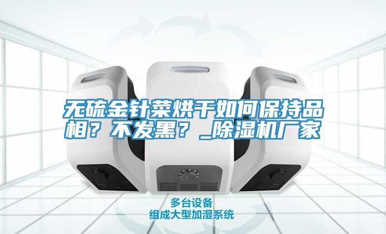 无硫金针菜烘干如何保持品相？不发黑？_小黄片直播视频厂家
