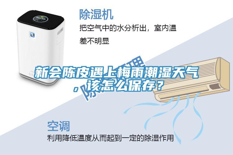 新会陈皮遇上梅雨潮湿天气，该怎么保存？