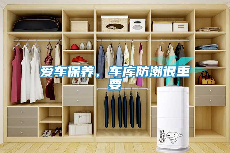 爱车保养，车库防潮很重要