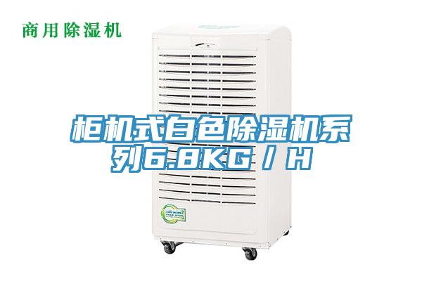 柜机式白色小黄片直播视频系列6.8KG／H