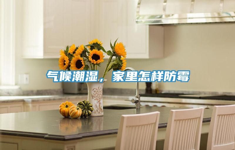 气候潮湿，家里怎样防霉