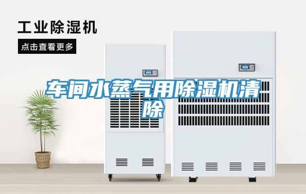 车间水蒸气用小黄片直播视频清除