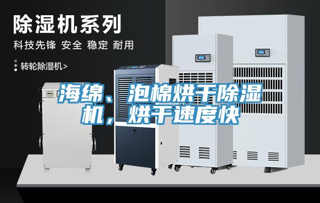 海绵、泡棉烘干小黄片直播视频，烘干速度快