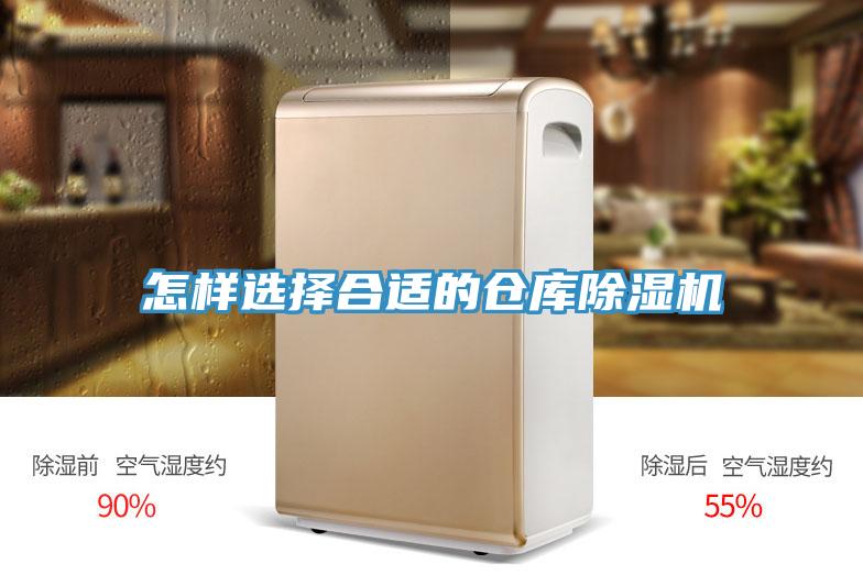 怎样选择合适的仓库小黄片直播视频