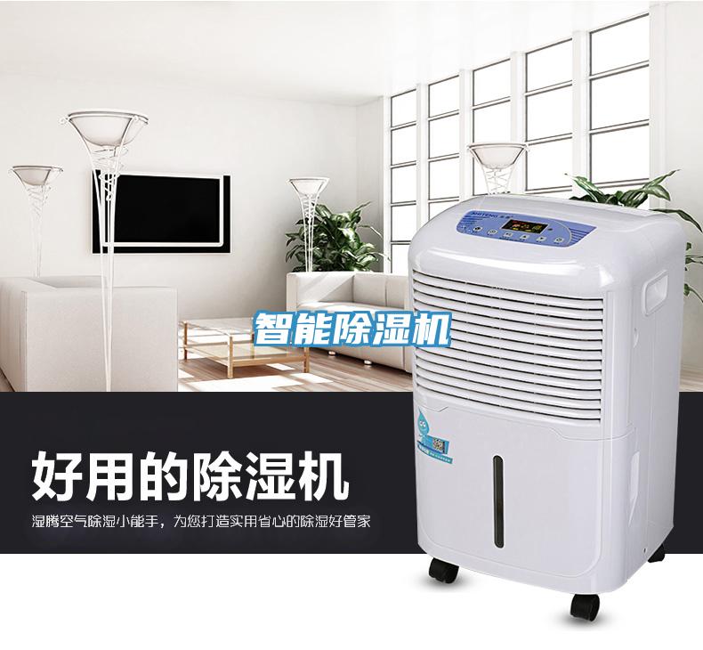 智能小黄片直播视频