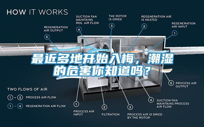 最近多地开始入梅，潮湿的危害你知道吗？