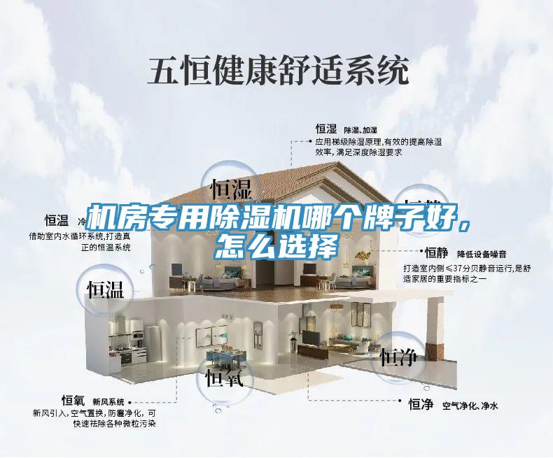 机房专用小黄片直播视频哪个牌子好，怎么选择
