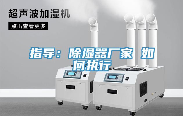 指导：除湿器厂家 如何执行