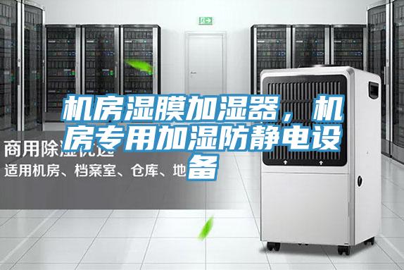 机房湿膜加湿器，机房专用加湿防静电设备