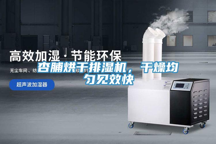 杏脯烘干排湿机，干燥均匀见效快