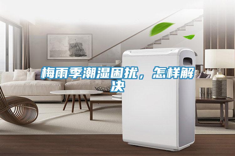 梅雨季潮湿困扰，怎样解决