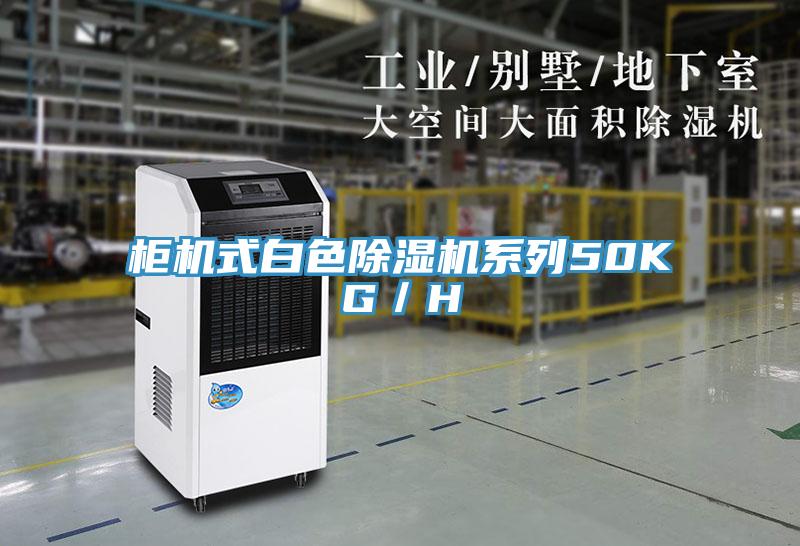 柜机式白色小黄片直播视频系列50KG／H