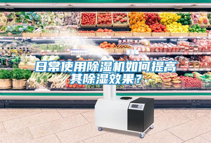日常使用小黄片直播视频如何提高其除湿效果？