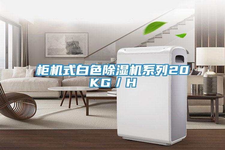 柜机式白色小黄片直播视频系列20KG／H