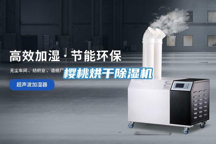 樱桃烘干小黄片直播视频