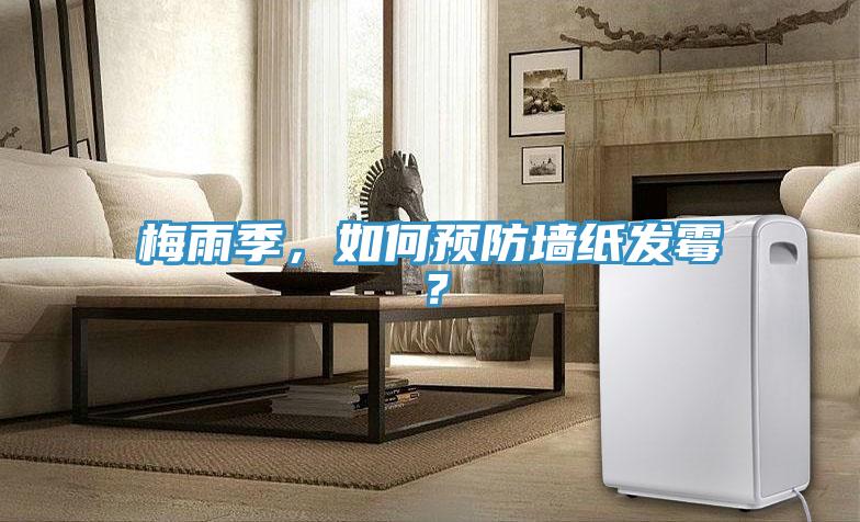梅雨季，如何预防墙纸发霉？