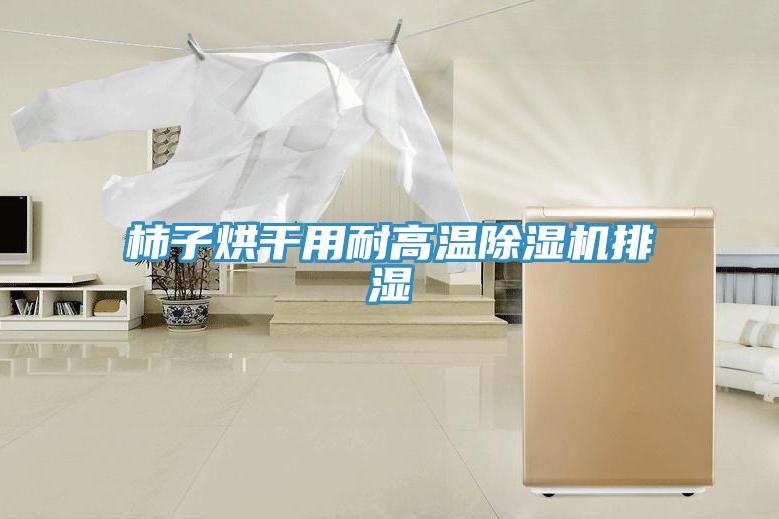 柿子烘干用耐高温小黄片直播视频排湿