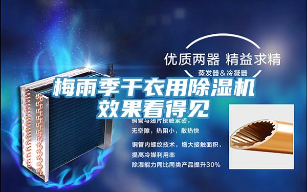 梅雨季干衣用小黄片直播视频效果看得见