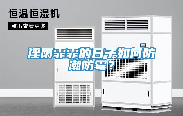 淫雨霏霏的日子如何防潮防霉？