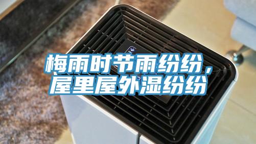 梅雨时节雨纷纷，屋里屋外湿纷纷