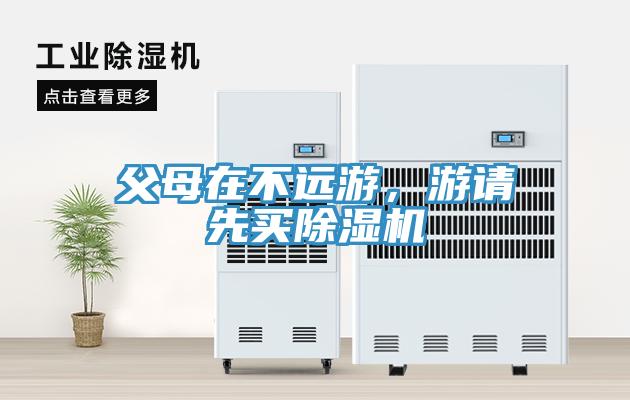 父母在不远游，游请先买小黄片直播视频