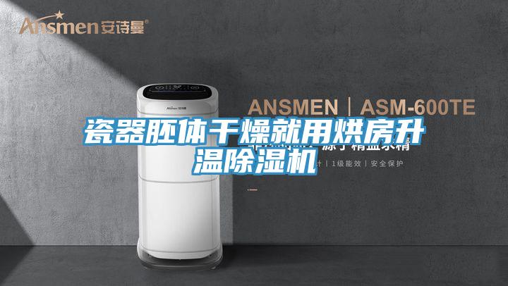 瓷器胚体干燥就用烘房升温小黄片直播视频