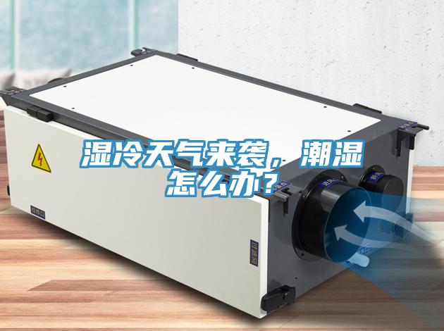 湿冷天气来袭，潮湿怎么办？